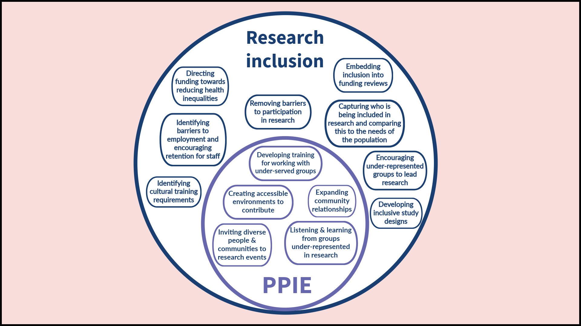 Circular infographic titled “Research inclusion” with a smaller inner circle labeled “PPIE” (Patient and Public Involvement and Engagement). The inner circle includes activities such as: developing training for working with under-served groups; creating accessible environments to contribute; expanding community relationships; inviting diverse people and communities to research events; and listening and learning from under-represented groups in research.  The outer circle, labeled “Research inclusion,” surrounds PPIE and lists broader structural actions including: directing funding towards reducing health inequalities; embedding inclusion into funding reviews; removing barriers to participation in research; capturing who is included in research and comparing this to population needs; encouraging under-represented groups to lead research; developing inclusive study designs; identifying cultural training requirements; and identifying barriers to employment and encouraging staff retention. The design uses layered circles to show PPIE as part of wider research inclusion efforts.
